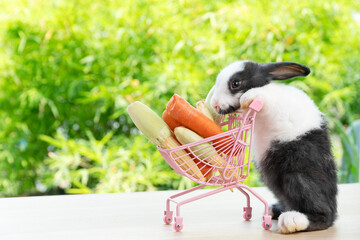 Adorable baby rabbit mammal bunny pushing shopping basket cart have fresh carrot and baby corn while standing on wooden over nature background. Easter holiday bunny animal and shop online concept.