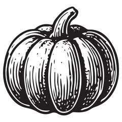 Classic Black and White Pumpkin Icon, Thanksgiving Pumpkin Art