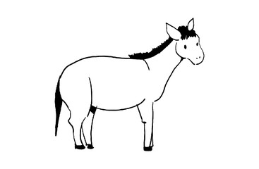 Hand drawn horse vector illustration, simple line drawing, farm animal isolated on white background