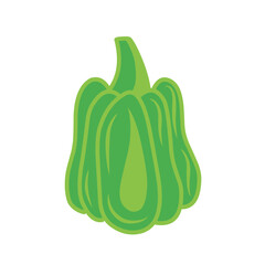 green pumpkin vector