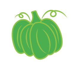 green pumpkin vector