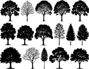 Fototapeta premium Silhouettes of various trees against a white background (1)