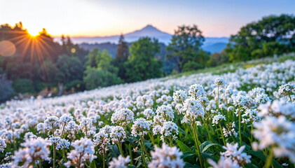 Fototapeta premium Expansive white flower field featuring lush green grass under a clear blue sky with drifting clouds, providing an idyllic landscape ready for text overlay.