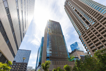 Fototapeta premium 大阪府北区の超高層ビル群