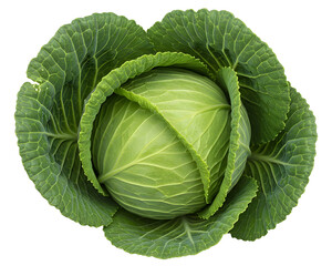 Obraz premium A Fresh and Healthy Green Cabbage with a Close-Up Top-Down View, Isolated on transparent background