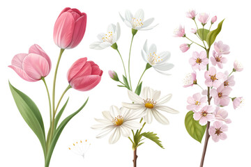 Fototapeta premium Spring Flowers PNG Set– Colorful Blooming Flower Illustrations on Transparent Background