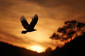 Silhouette of a bird soaring during sunset