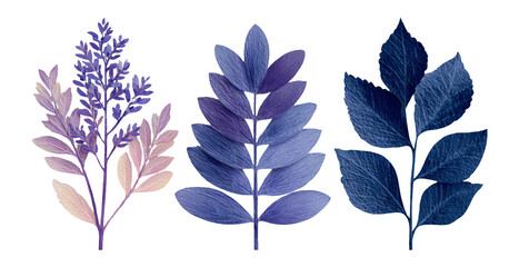 Fototapeta premium Three Isolated Leaves in Deep Blue and Purple Tones on Transparent Background