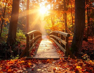 Obraz premium Scenic Pathway with Fall Colors