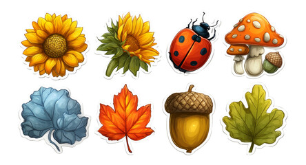 Colorful Collection of Isolated Autumn Elements on Transparent Background