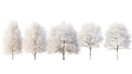 Five fluffy white trees isolated on transparent background
