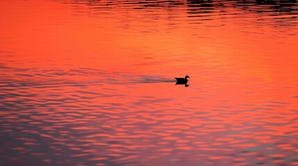 Golden Sunset Water Landscapes: Sea/Ocean Reflections, Orange Sky Waves & Beach Silhouette Birds