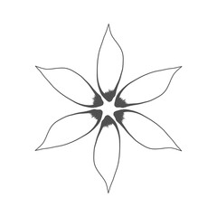 botanical floral, vector, seamless pattern,leaves, big set, background,flowers, Background,flower texture