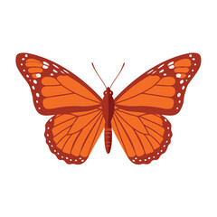 Fototapeta premium Flat vector monarch butterfly illustration with orange wings and white spots