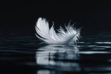 A delicate white feather rests on still water, reflecting its beauty