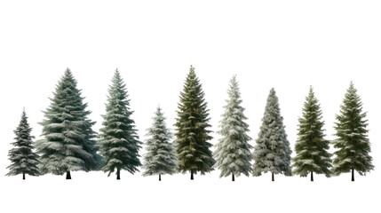 Collection of snowy pine trees isolated on transparent background