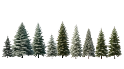Collection of snowy pine trees isolated on transparent background