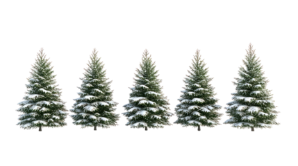 Five snow covered pine trees isolated on transparent background