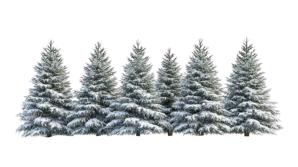 Row of snow covered pine trees isolated on transparent background