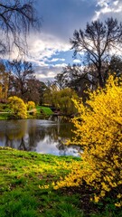 Colorful park scene with a pond and yellow flowers
