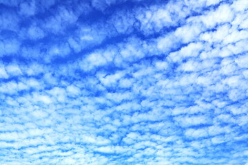 空高く広がる美しいうろこ雲