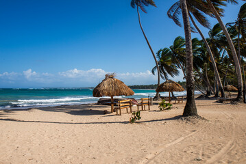 Tropical beach with palm trees and palapas,  at the  north coast of the Dominican Republic