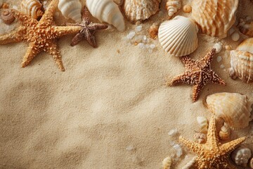 Seashells and starfish on sand (6)