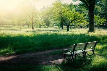 午後の光に照らされるベンチ