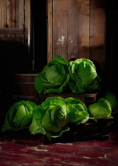 National Cabbage Day