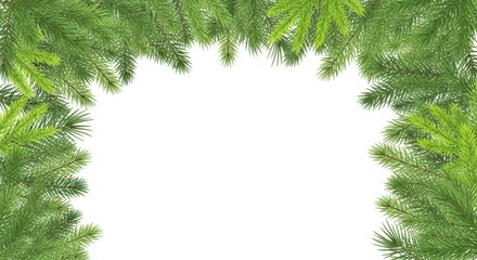 Christmas Fir Tree Branches Forming an Arch on White Background evergreen pine