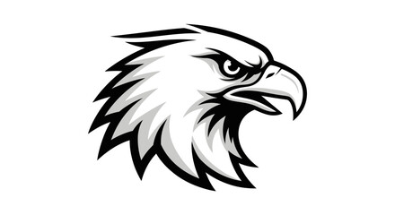 Fototapeta premium eagle head vector illustration