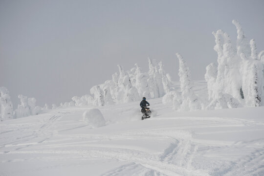 Helmeted man riding snowmobile across snowfield on slope showing snow tracks and trees, copy space