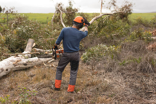 Adult male logger gripping chainsaw and wearing helmet and chaps by fallen trunk in brush clearing