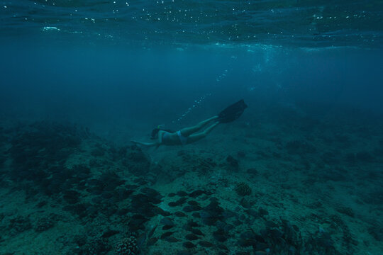 Asian female snorkeler wearing snorkel mask and tube and swim fins gliding above coral reef fish