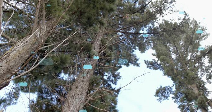 On second frame cyan cloud and flask icons materializing, clustering to visualize tree canopy data