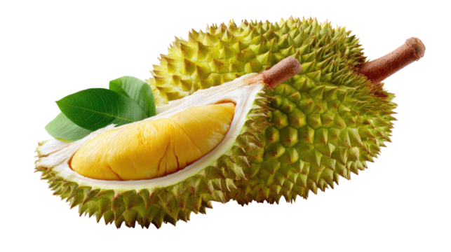 Tropical Durian Delight: A mouthwatering shot of the king of fruits, with its spiky husk partially opened, showcasing the creamy, golden flesh within, alongside fresh green leaves.