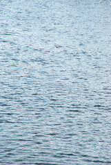 Calm lake water surface with natural ripples and sunlight reflections