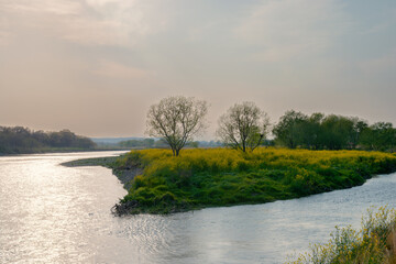 川のある風景、多摩川の夕景