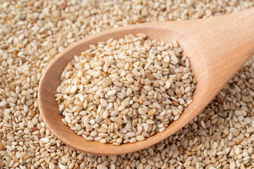 スプーンに載せた白ごま（生ごま）のクローズアップ