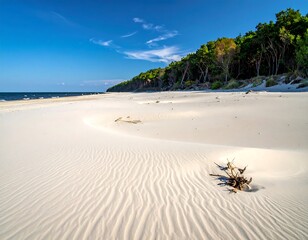 Pristine white sand beach meets a blue sky