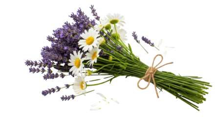 Bouquet of lavender and chamomile flowers tied with twine isolated PNG with Transparent Background