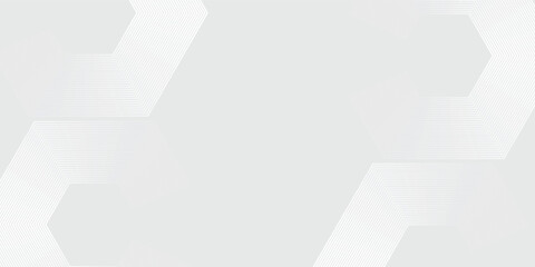 Hexagon white gray wave light technology texture background. Abstract big data digital concept simple. vector ilustration.