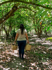 Woman Working in a Vegetable Garden with Fresh Produce