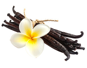 Dark brown vanilla pods tied with twine, a plumeria flower atop