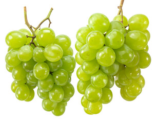 Two bunches of vibrant, light green grapes hang from stems