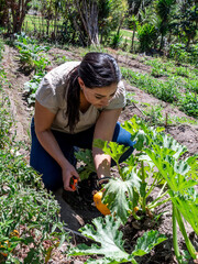 Woman Working in a Vegetable Garden with Fresh Produce