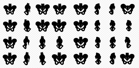 Multiple black silhouettes of human pelvic bones displayed from various anatomical perspectives for educational study.