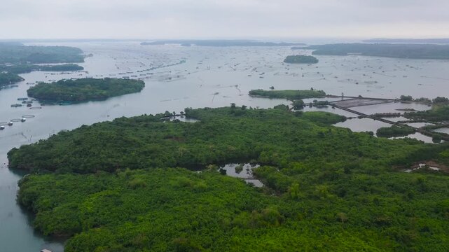 Fisheries on Luzon Island, Philippines. Fish farm, top view. Aerial view of fish ponds for bangus, milkfish.