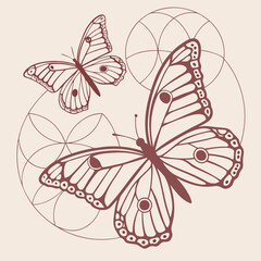 Elegant line art illustration of two stylized butterflies in flight with geometric floral patterns in a soft neutral background color palette