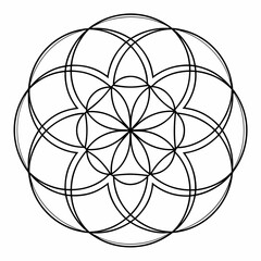 Intricate geometric mandala design featuring overlapping circles and petal like shapes forming a sacred geometry pattern on a white background